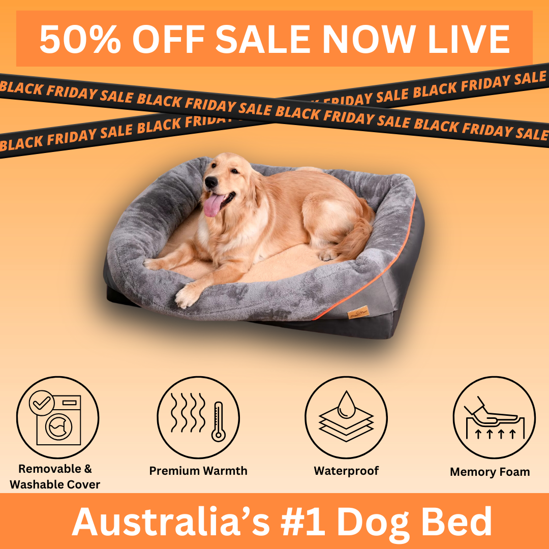 Memory foam dog bed sale hotsell